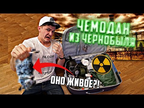 Видео: Купил потерянный чемодан на аукционе из Чернобыля