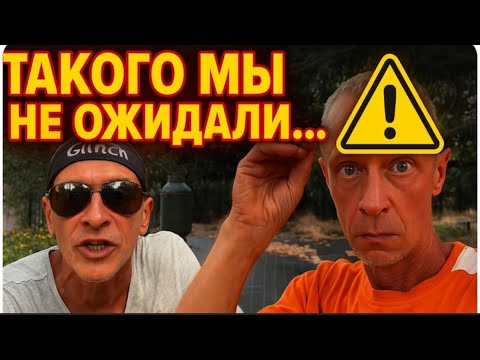 Видео: Всё пропало! Что случилось на вилле? Виллу захватили!