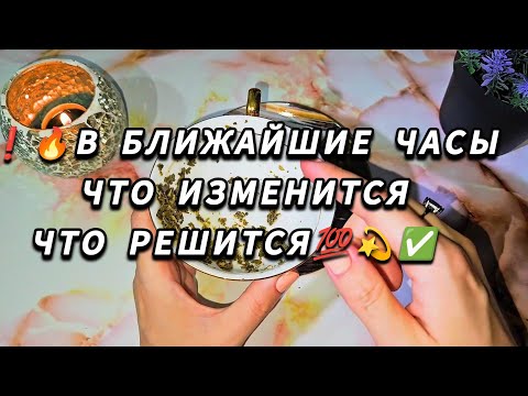 Видео: 🍁🍂💥..В ближайшие часы  и дни что изменится в  твоей жизни 💯гадание на чае 