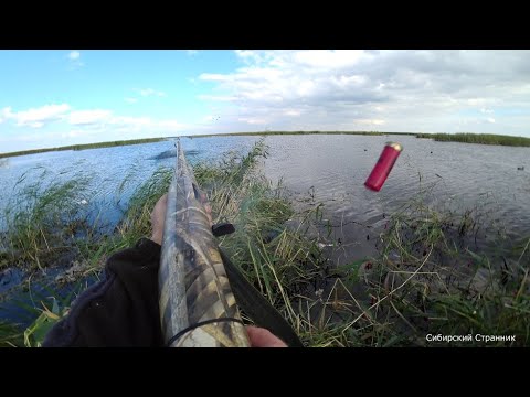 Видео: Охота на болотоходе была трудовая, но утку мы все таки нашли.