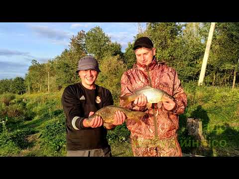 Видео: Одаї. Осінній дубль.