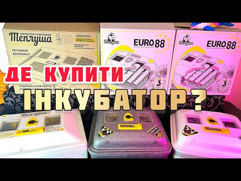 Видео: Де купити надійний інкубатор⁉️мій досвід, як обрав, і де замовив‼️