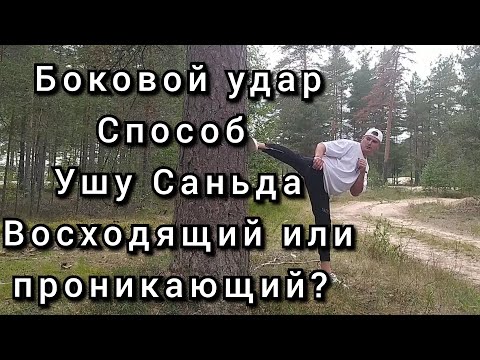 Видео: Фишка УШУ Саньда боковой удар ногой (Йоко Гери) Кекоми или Кеаги? Восходящий удар в голову.