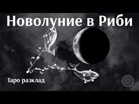 Видео: Новолуние в Риби! Кармичен нов цикъл за вас в любовта🌒♓💓💣