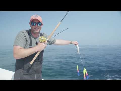 Видео: Как ловить тунца на лёгкие снасти | Простая оснастка на 4 удилища