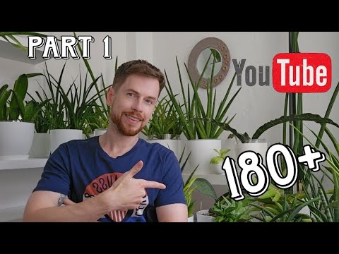 Видео: Сансевиерии. Полный обзор коллекции 180+ сортов. Первая часть.  Май 2025.