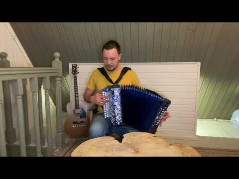 Видео: Михаил Круг - Студентка (кавер на гармони)