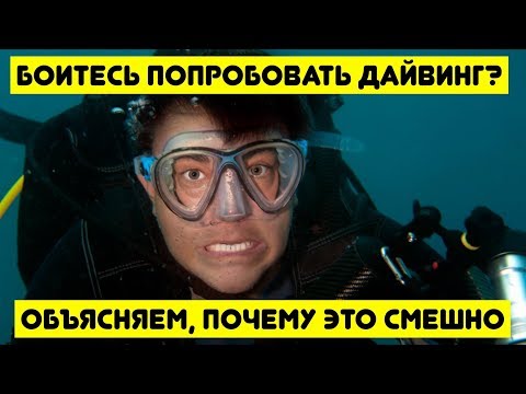 Видео: Боитесь попробовать дайвинг? Объясняем, почему это смешно