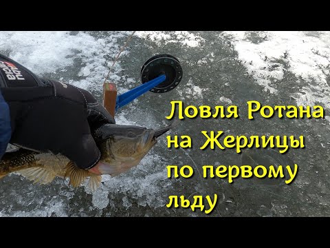 Видео: Ловля Ротана на жерлицы и блесну. Первый лед 2021 Красивые кадры по водой