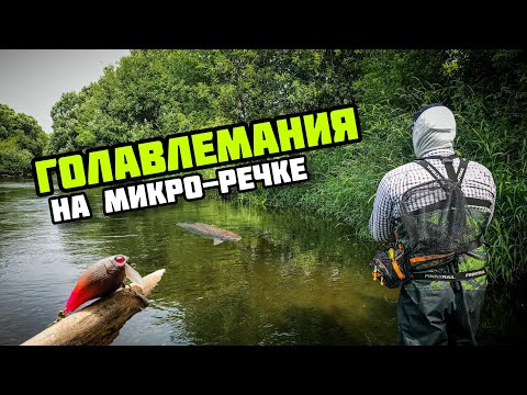 Видео: Как ловить голавля на микро-речке | Спасти рядового Chubby 38 SSR