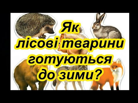 Видео: Як тварини готуються до зими? Тварини восени. Відеопрезентація