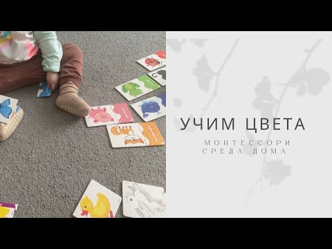 Видео: УЧИМ ЦВЕТА с малышом|выучили цвета в 1,2 года