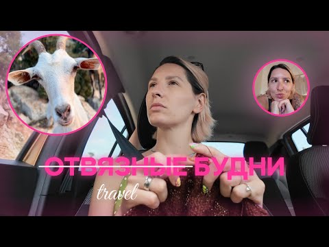 Видео: Отвязные будни || путешествие по Турции, сломанная спица (опять🤦🏼‍♀️), Турецкий магазин пряжи.