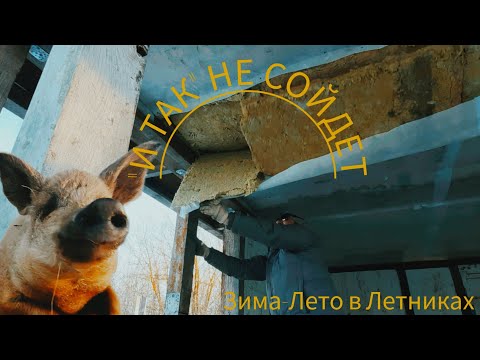 Видео: СНИМАЕМ НАМОКШИЙ УТЕПЛИТЕЛЬ. ОЖИДАЕМ ОПОРОС. ЖИЗНЬ В ДЕРЕВНЕ.