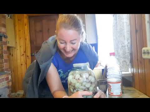 Видео: Пошли грибы!/ Лучший рецепт мочёного чеснока😉