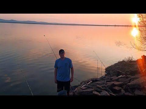 Видео: Ловля Карася на озере Косоголь.