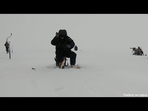 Видео: Рыбалка 2024. Ловим СУДАКА на водохранилище!