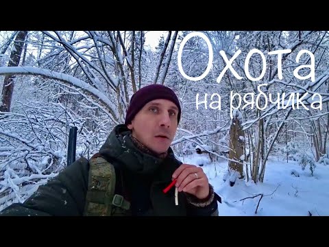 Видео: ОХОТА ЗИМОЙ НА РЯБЧИКА С МАНКОМ. Сказочно-красивый Лес. История.