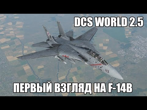 Видео: DCS World 2.5 | Первый взгляд на F-14B
