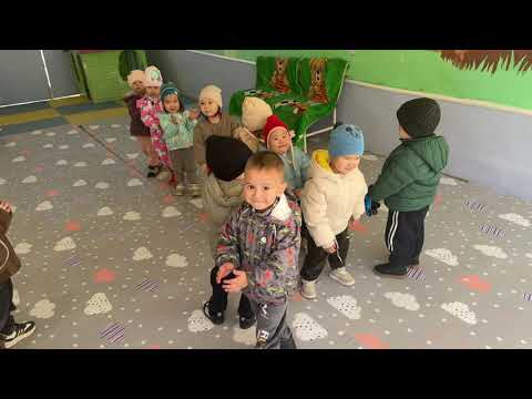 Видео: 13 ноября 2025 г.