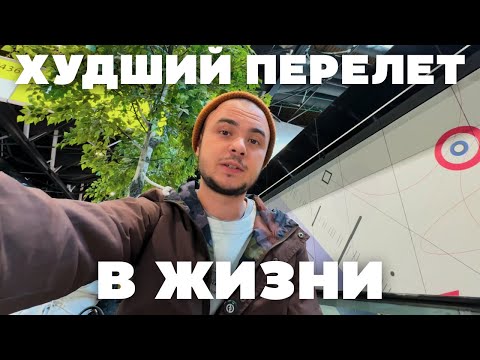 Видео: ЛЕТИМ ВО ВЬЕТНАМ С КОШКОЙ | МОСКВА - ХОШИМИН - ДАНАНГ
