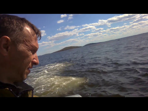 Видео: Как на катере якорем копают ЧЕРВЕЙ МОРСКИХ на рыбалку | КАК ЛОВЯТ НА НИХ РЫБУ В БЕЛОМ МОРЕ!