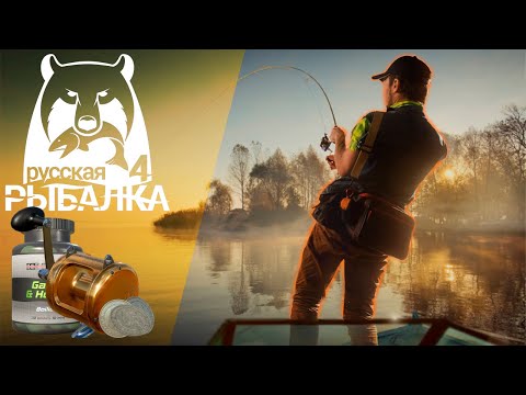 Видео: Рыбачу на Медном | Русская рыбалка 4 | #русскаярыбалка4 #рыбалка