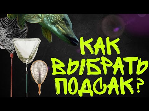 Видео: Как выбрать ПОДСАК ДЛЯ РЫБАЛКИ? Ручка, голова, сеть и другое