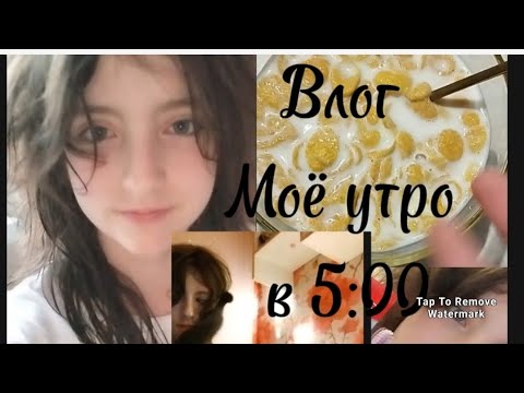 Видео: Моё утро с 5 утра