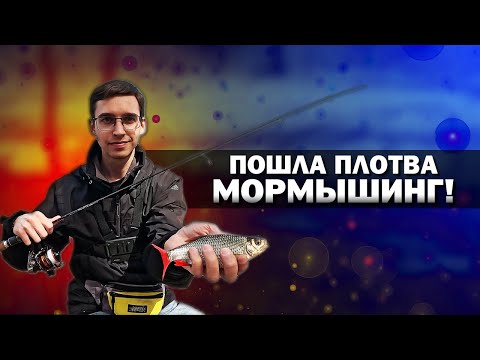 Видео: Ловля бели на мормышинг