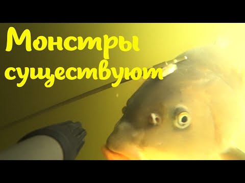 Видео: ПОИСК РАНЕННОГО МОНСТРА!!! ТРОФЕЙНАЯ ПОДВОДНАЯ ОХОТА!!!
