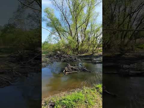 Видео: Заброшенная река, 😱!!!