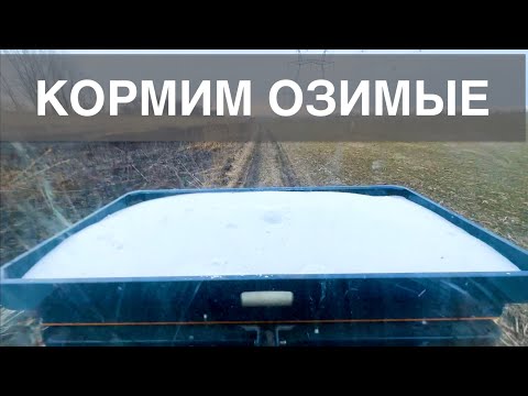 Видео: ВНЕСЕНИЕ АММИАЧНОЙ СЕЛИТРЫ | Разбрасываем удобрение