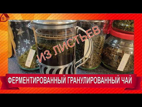 Видео: ФЕРМЕНТИРОВАННЫЙ ГРАНУЛИРОВАННЫЙ ЧАЙ- САМЫЙ простой рецепт из листьев дома