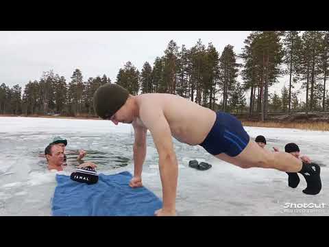 Видео:  Моржи Муравленко.