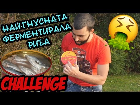 Видео: ЯДЕМ ФЕРМЕНТИРАЛА ХЕРИНГА! surströmming challenge