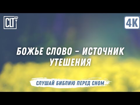 Видео: Отдохни в Божьем присутствии | Библия перед сном #Божье_присутствие #СилаМолитвы