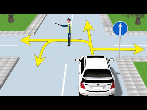 Видео: Куда разрешено проехать водителю белого авто?