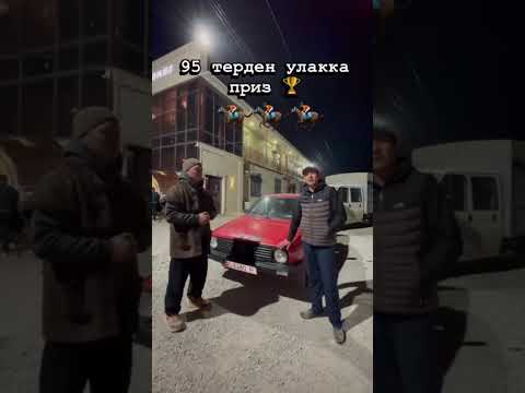 Видео: Кызыл Адыр Талас Айтматов району # 18.10.2025