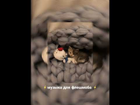 Видео: музыка для флешмоба