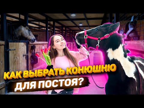 Видео: Как Выбрать КОНЮШНЮ для ПОСТОЯ? / Содержание Лошади / VLOG