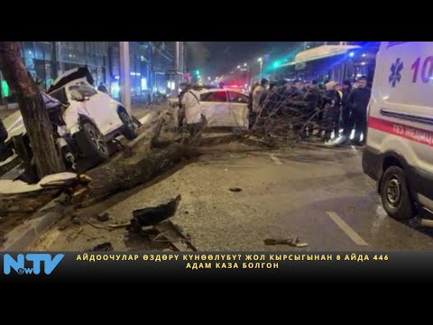Видео: Айдоочулар өздөрү күнөөлүбү? Жол кырсыгынан 8 айда 446 адам каза болгон