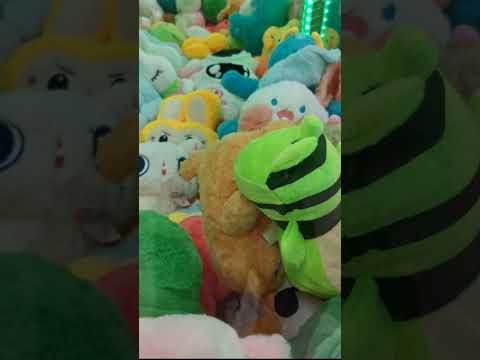 Видео: Ещё немного котиков