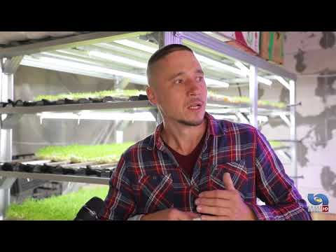 Видео: Гость в студии  Иван Воробьев