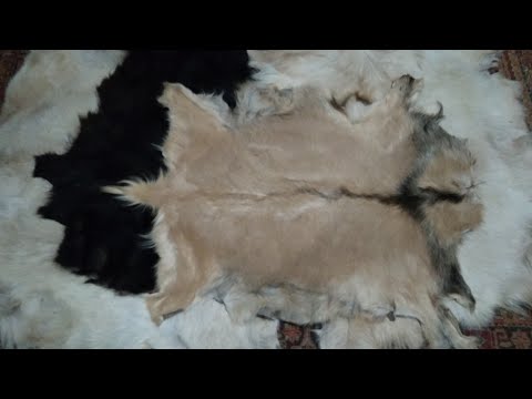 Видео: Проект "4 шкуры", или Вычинка козьих шкур часть 5: итоги.