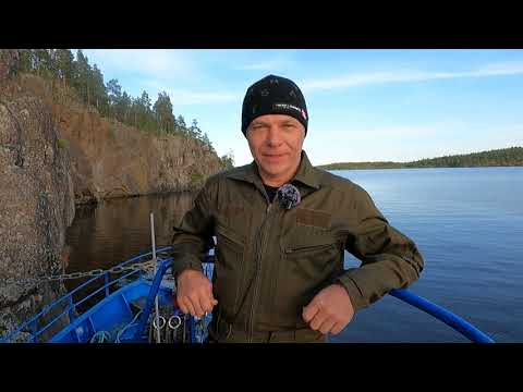 Видео: Мини-Сафари по Ладоге