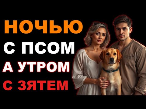 Видео: 🍑 ТЁЩА, ЗЯТЬ И СОБАКА МАКС — НОЧЬ, КОТОРУЮ НИКТО НЕ ЗАБУДЕТ!