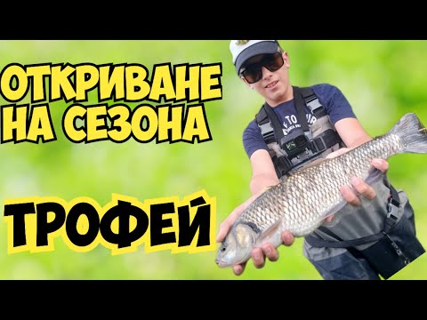 Видео: Открих сезона с ТРОФЕЕН кефал - Спининг риболов.