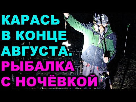 Видео: #рыбалка#карась Карась в конце августа. Рыбалка с ночёвкой