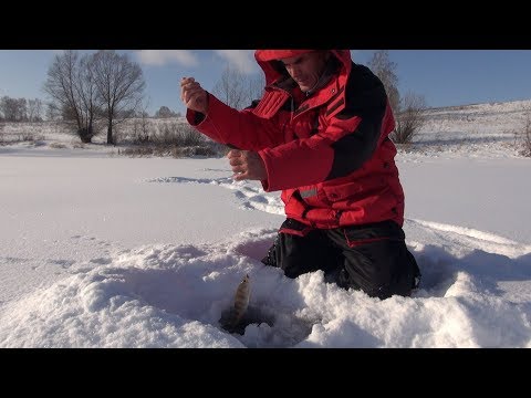 Видео: Поставил ШАРАГУ  и понеслось! В поисках окуня! Первый лёд 2019!